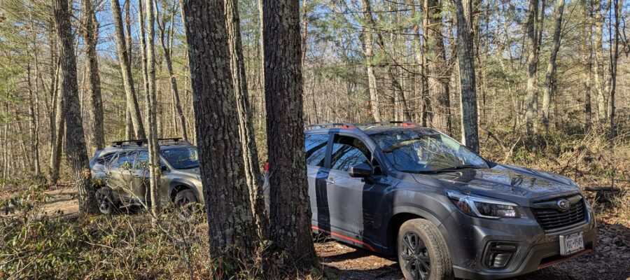 PXL_20241214_160702856_wm