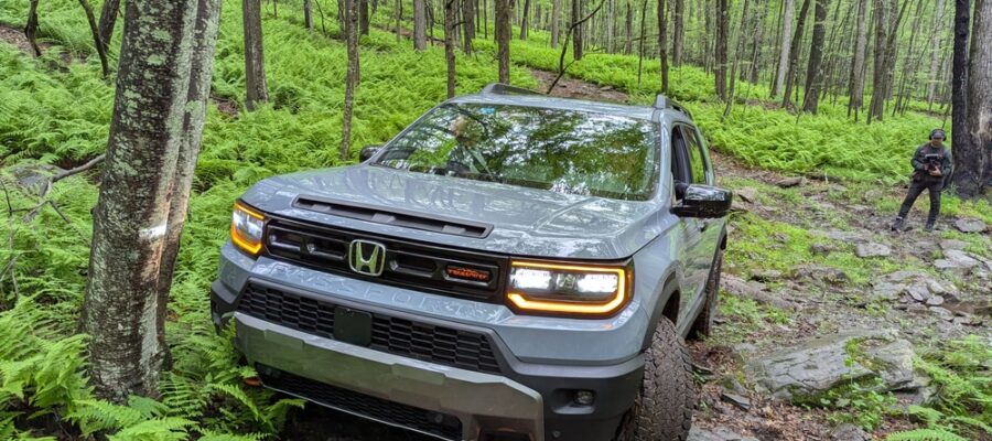 PXL_20250609_194936493_wm